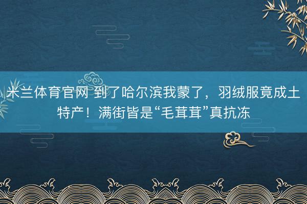 米兰体育官网 到了哈尔滨我蒙了,羽绒服竟成土特产!满街皆是“毛茸茸”真抗冻