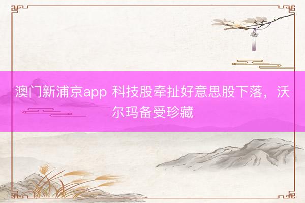 澳门新浦京app 科技股牵扯好意思股下落，沃尔玛备受珍藏
