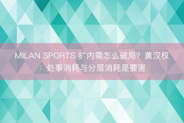 MILAN SPORTS 扩内需怎么破局?黄汉权:处事消耗与分层消耗是要害